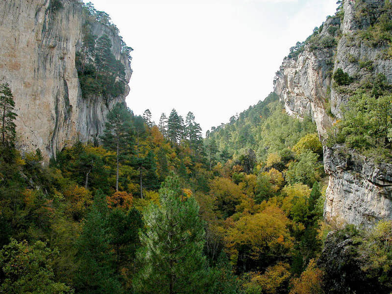 Parque Natural del Alto Tajo